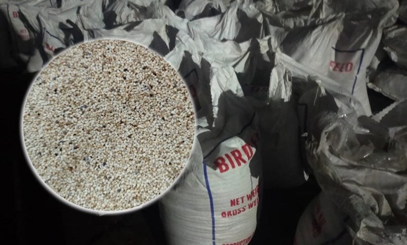 চট্টগ্রাম বন্দরে ২৪ হাজার ৯৬০ কেজি আমদানি নিষিদ্ধ পপি সিড আটক