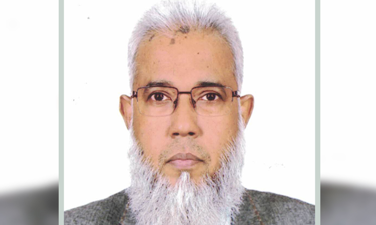 ২০২৬ সালে মেঘনা-ধনাগোদা নদীতে সেতুনির্মাণ শুরু হবে : সেতু সচিব