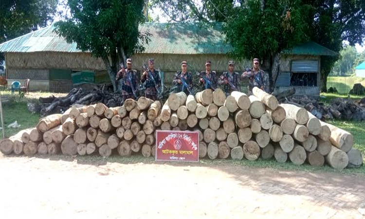 রাঙ্গামাটিতে অবৈধ কাঠ জব্দ করেছে বিজিবি