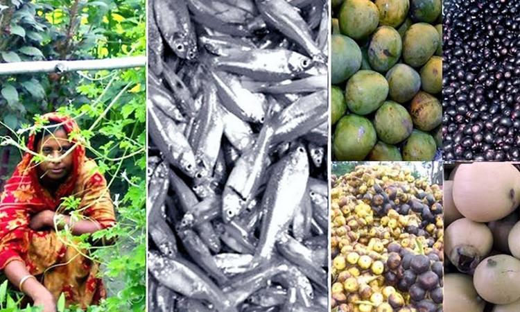 গ্রামীণ নারী-শিশুর অপুষ্টি কমছে সবজি ও ছোট মাছে