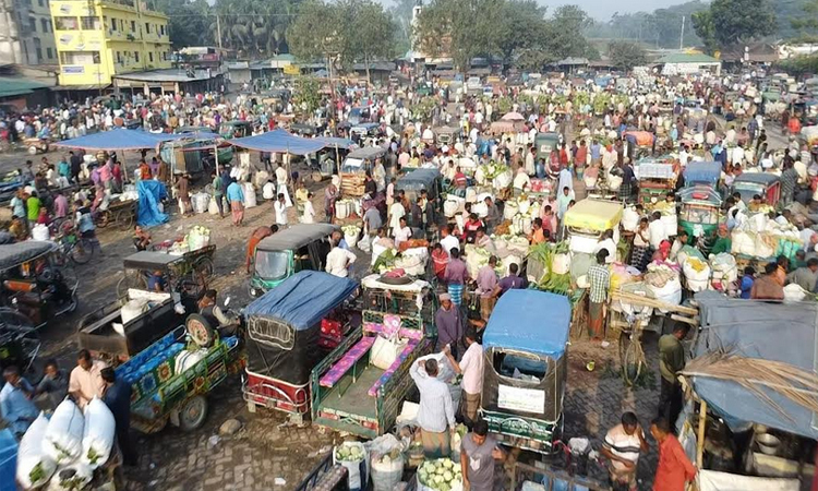 মহাস্থান হাটে সবজির দাম স্থিতিশীল, সরবরাহ ভালো