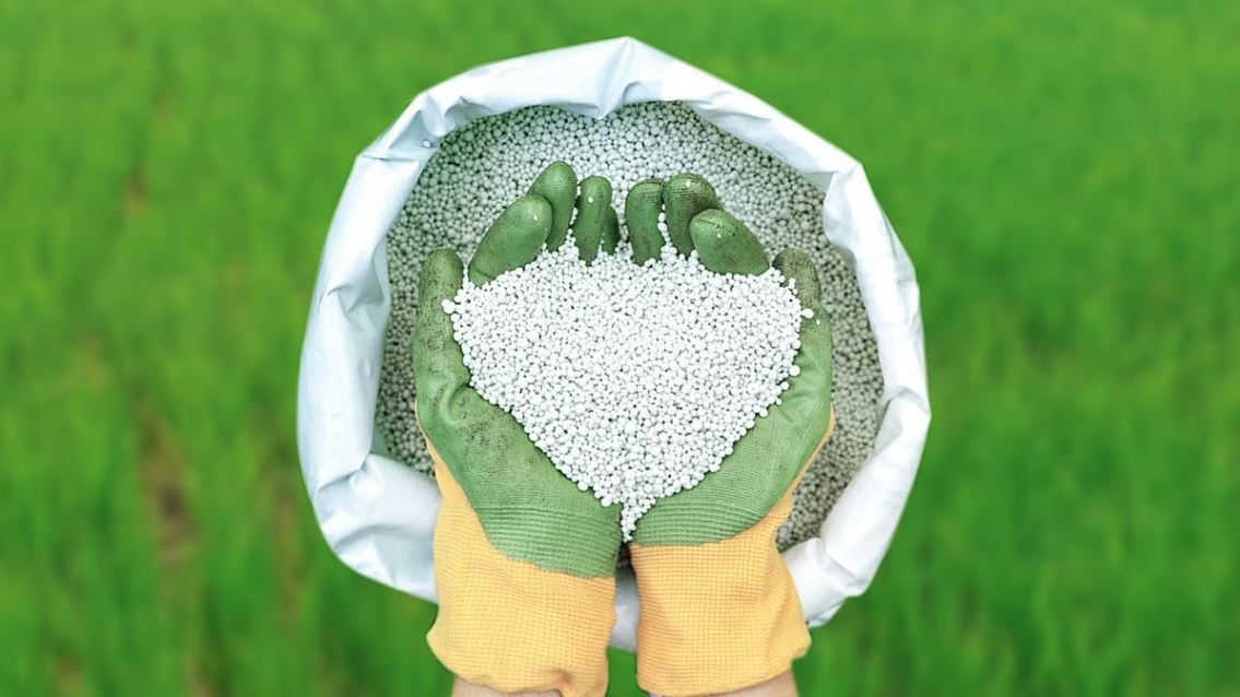 ১ লাখ ৭০ হাজার টন সার ক্রয়ের প্রস্তাব অনুমোদন দিয়েছে সরকার