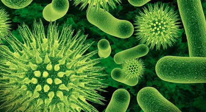 নবজাতকদের নিবিড় পরিচর্যা কেন্দ্রে ‘ফাঙ্গাল সুপারবাগ’ আতঙ্ক