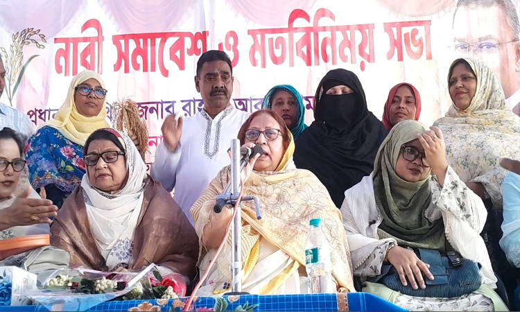 ঠাকুরগাঁওয়ে ধানের শীষে ভোট চাইলেন ফখরুল পত্নী