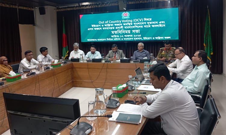 প্রথমবারের মতো প্রবাসীদের ভোটাধিকার দেশের ইতিহাসে মাইলস্টোন: ইসি সানাউল্লাহ