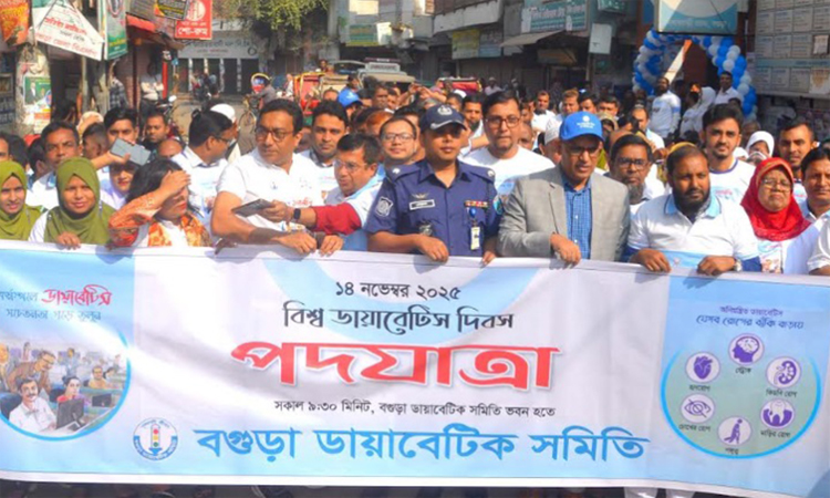 বগুড়ায় বিশ্ব ডায়াবেটিস দিবস পালিত 