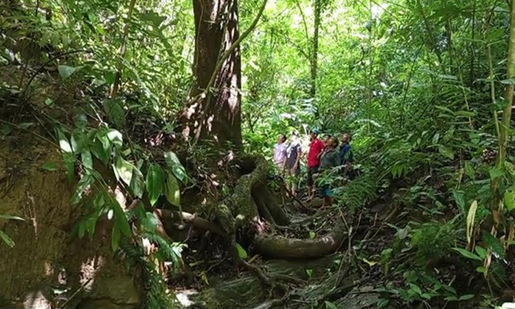 খাগড়াছড়ির পাড়াবন জীববৈচিত্র্য রক্ষায় ‘রোল মডেল’ হতে পারে