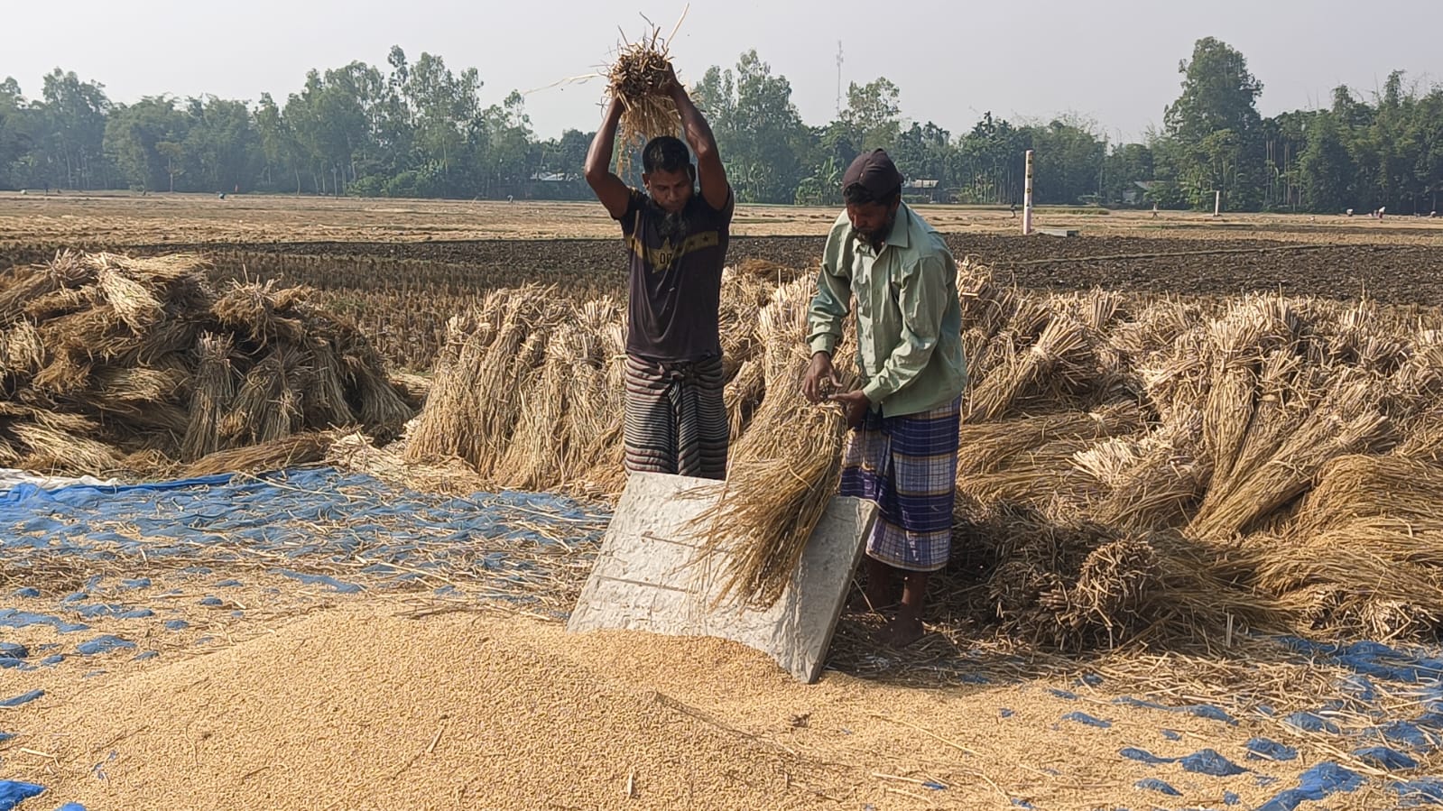 হারিয়ে যাচ্ছে নবান্ন উৎসব, নেই পিঠাপুলির ধুম