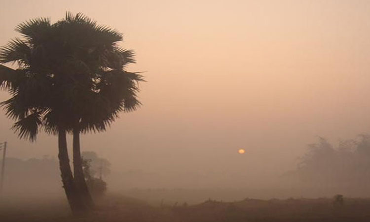 দেশের কিছু স্থানে হালকা থেকে মাঝারি কুয়াশা পড়তে পারে
