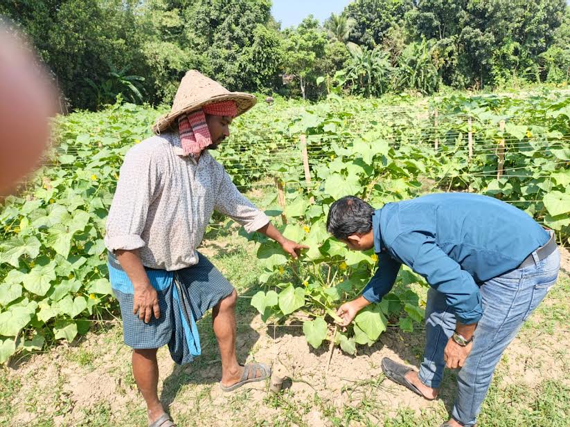 আগাম শীতকালীন সবজিতে ভরে উঠেছে রাজবাড়ীর হাট-বাজার