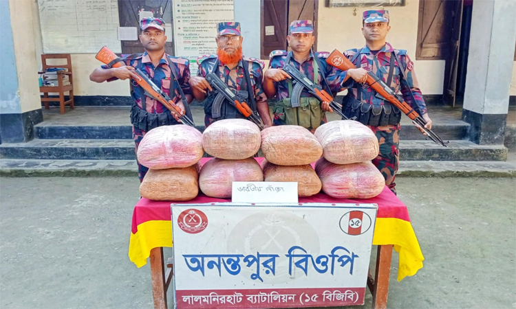 লালমনিরহাটে বিজিবির অভিযানে বিপুল পরিমাণ মাদক জব্দ