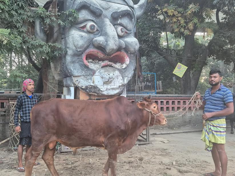 হাসিনার মৃত্যুদণ্ড: ঢাবির টিএসসিতে চলছে ভূরিভোজের আয়োজন