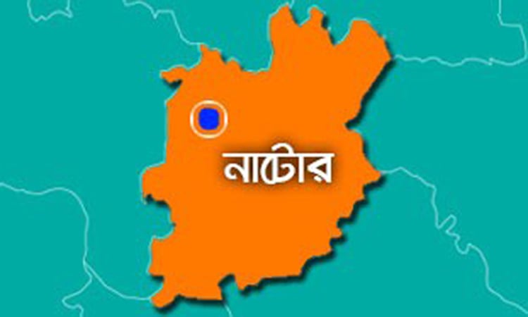 নাটোরে ৫ কোটি ১১ লাখ টাকার কৃষি প্রণোদনা প্রদান 