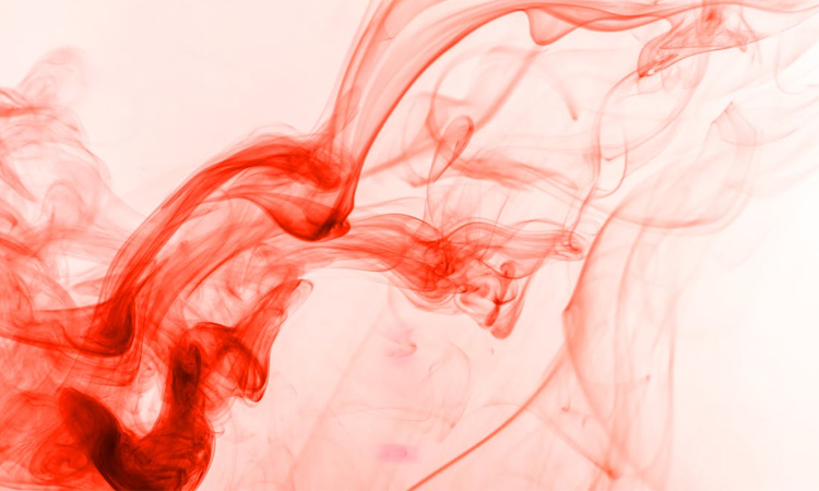 নারায়ণগঞ্জে সিমেন্ট কারখানায় বিস্ফোরণ; দগ্ধ ৬