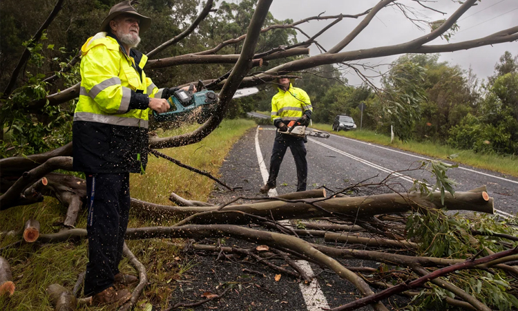 অস্ট্রেলিয়ার উত্তরাঞ্চলে ঘূর্ণিঝড় পরবর্তী পরিস্থিতি সামাল দিচ্ছে প্রশাসন