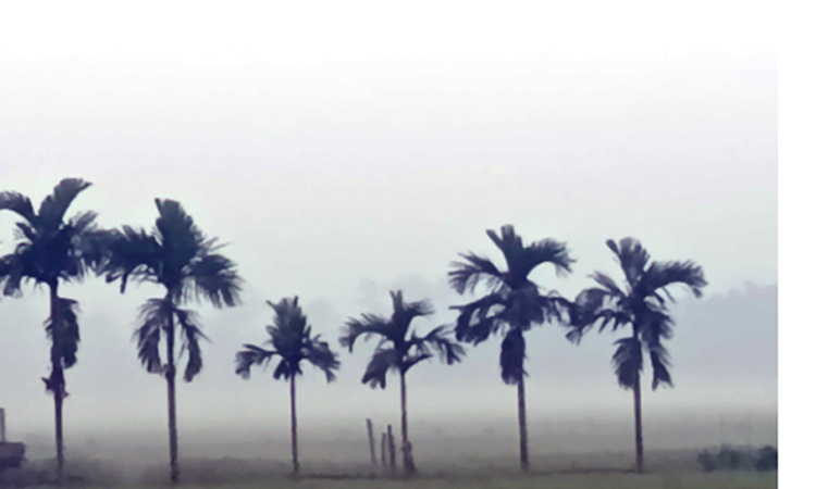 দেশের কোথাও কোথাও হালকা কুয়াশা পড়তে পারে