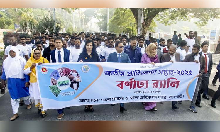 দেশের প্রাণিসম্পদ খাতে উল্লেখযোগ্য সাফল্য অর্জিত হয়েছে: বক্তারা