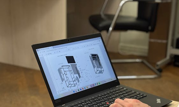 ডিজিটাল সেন্টারের আলোয় বদলে যাওয়া এক গ্রামের গল্প : কেন্দ্রবিন্দুতে উদ্যোক্তা লাভলী রানী