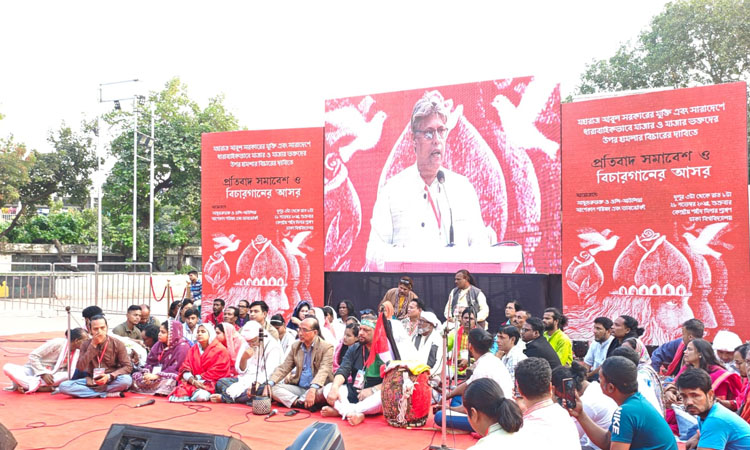 সুরক্ষা ও নিরাপত্তা নিশ্চিতের দাবি বাউল শিল্পী-সমর্থকদের 