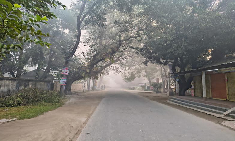 মধ্য অগ্রহায়ণেই মাঘের শীতে কাঁপছে চরবাসী