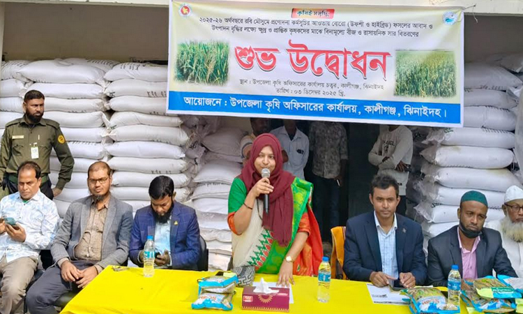 কালীগঞ্জে বিনামূল্যে সার ও বীজ পেলেন দেড় হাজার কৃষক