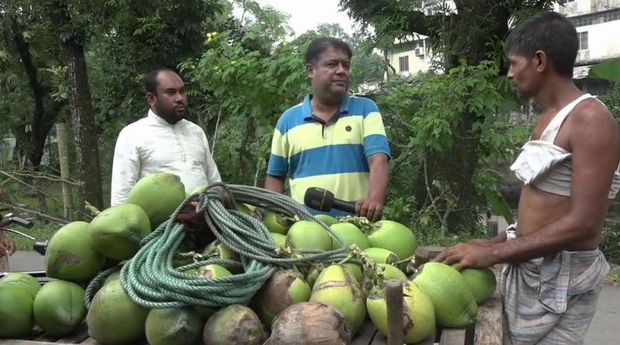 চলতি বছরে ৫০ কোটি টাকার ডাব বিক্রির লক্ষ্যমাত্রা নির্ধারণ করেছে কৃষি বিভাগ