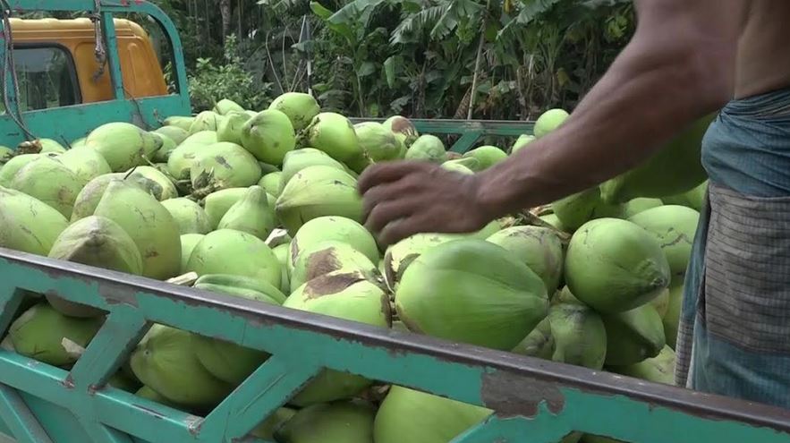 ছবি : বাসস