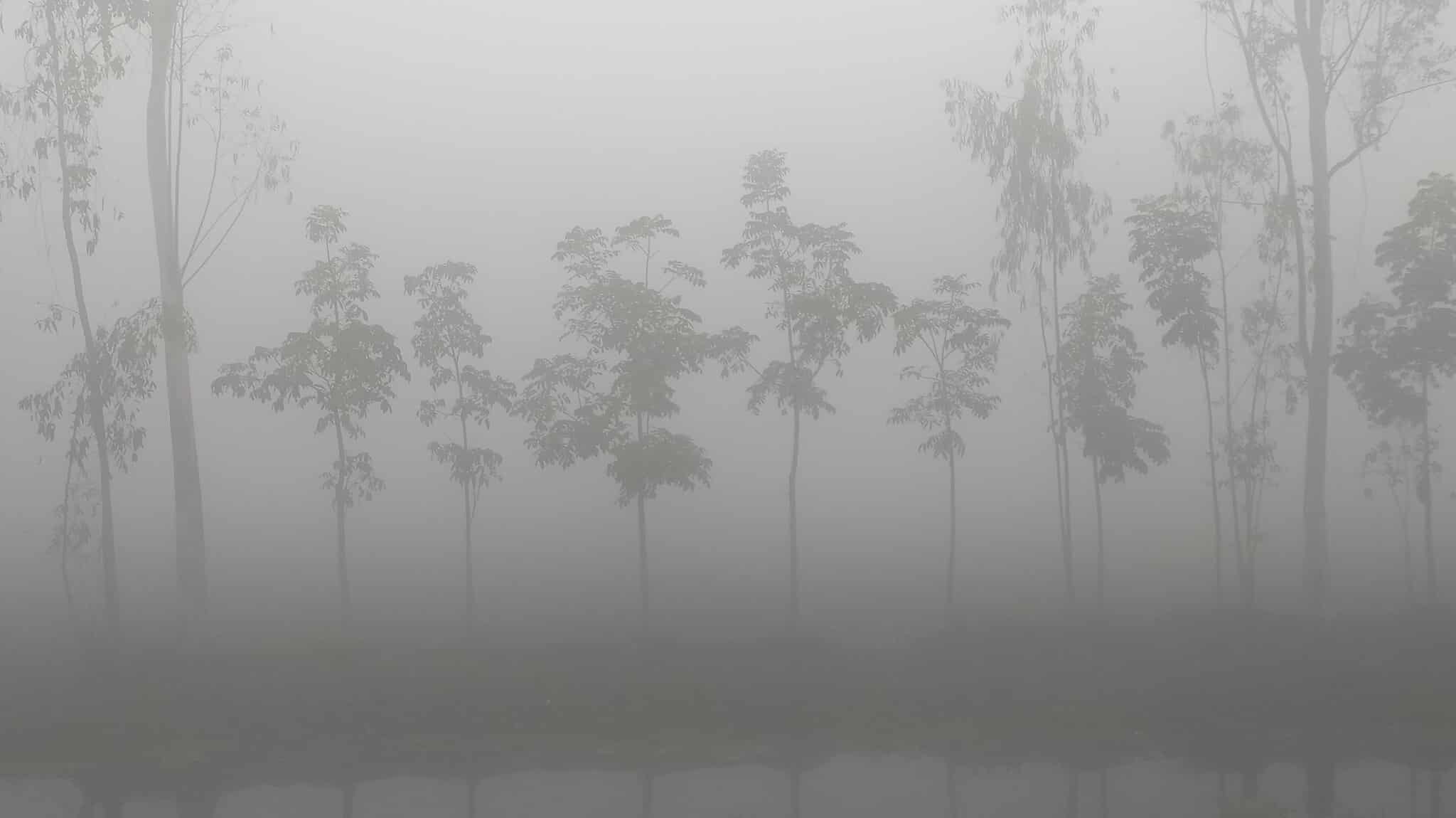 পঞ্চগড়ে বাড়ছে শীত, তাপমাত্রা ১২ ডিগ্রিতে