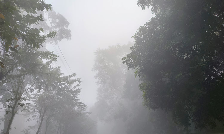 কুড়িগ্রামে শীতের তীব্রতার সঙ্গে বেড়েছে মানুষের কষ্ট