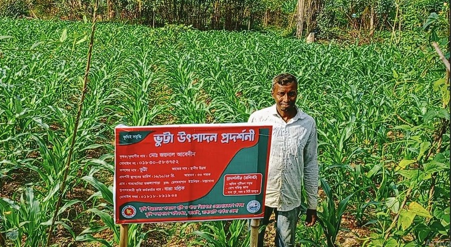 কৃষি জমিতে ভুট্টা চাষে সফল কাপ্তাইয়ের জয়নাল আবেদীন