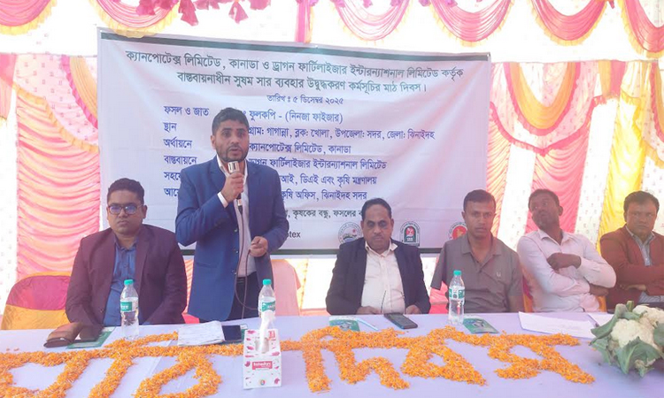 ঝিনাইদহে সুষম সার ব্যবহারে উদ্বুদ্ধকরণ মাঠ দিবস