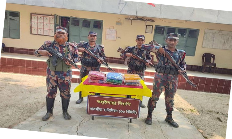 সাতক্ষীরা সীমান্তে ভারতীয় বিভিন্ন মালামাল জব্দ 