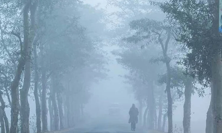 হালকা কুয়াশাসহ সারাদেশে তাপমাত্রা অপরিবর্তিত থাকার সম্ভাবনা
