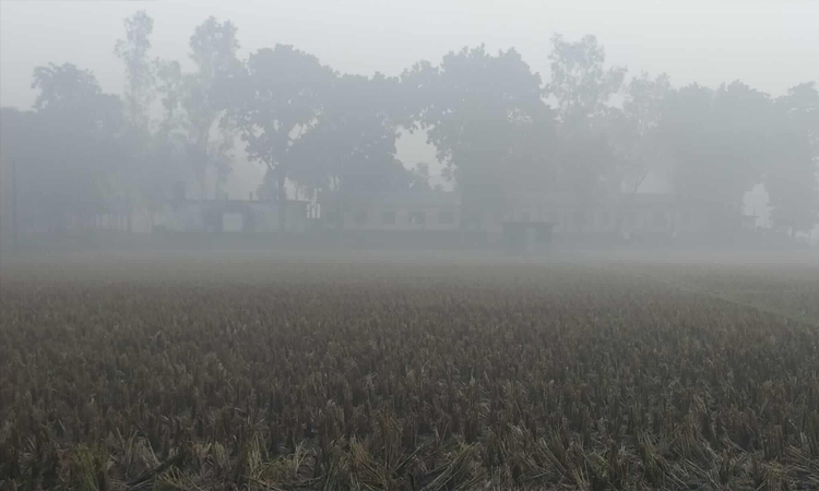 পঞ্চগড়ে মৌসুমের সর্বনিম্ন তাপমাত্রা, মৃদু শৈত্যপ্রবাহের আভাস