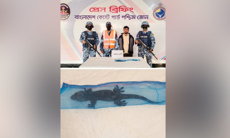 মোংলায় সুন্দরবনের বিরল প্রজাতির তক্ষক সহ ১ পাচারকারী আটক