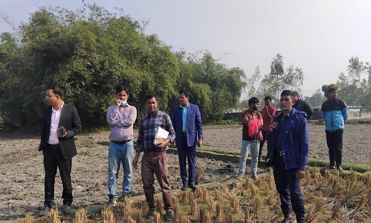 ডোমারে ইটভাটায় কৃষি জমির মাটি ব্যবহার করায় জরিমানা