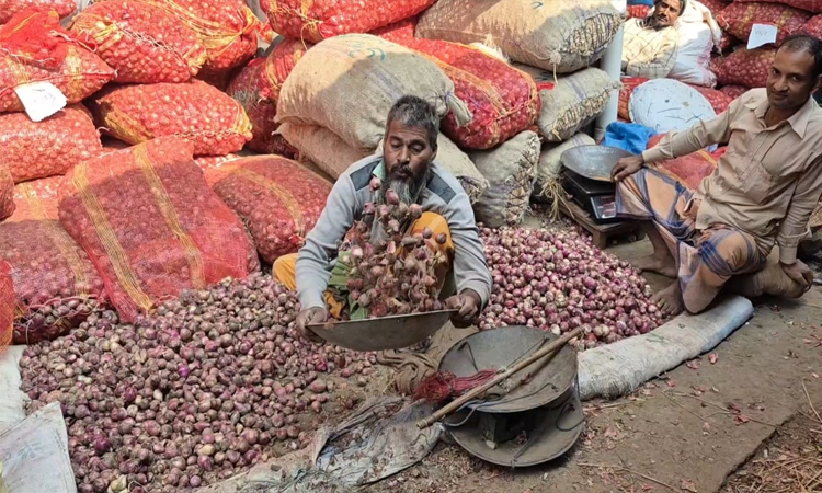 এলসির খবরে স্বস্তি ফিরল বগুড়ার পেঁয়াজের বাজারে
