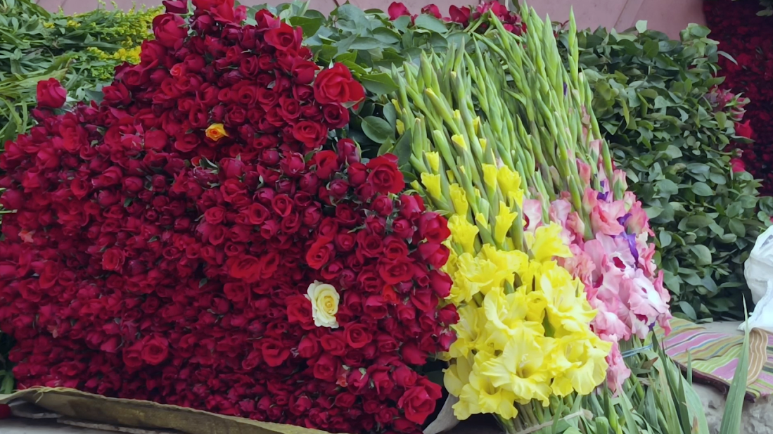 উৎসবের অপেক্ষায় সুশোভিত-সুবাসিত ফুলের রাজধানী গদখালী