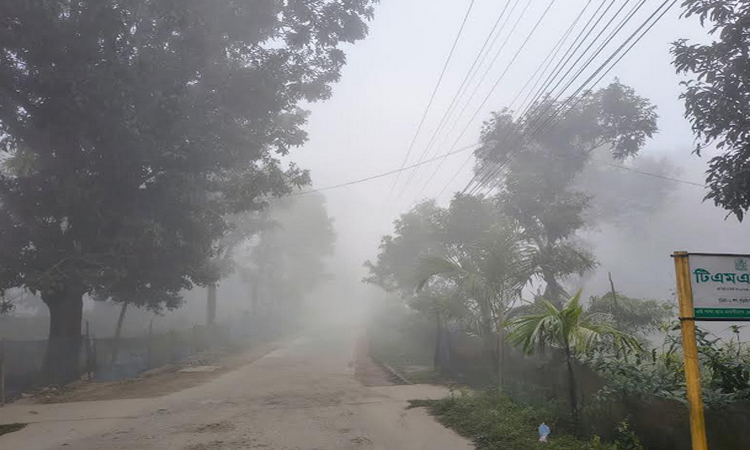 কুড়িগ্রামে হাড়কাঁপানো শীত, তাপমাত্রা নেমে ১১.৪ ডিগ্রি
