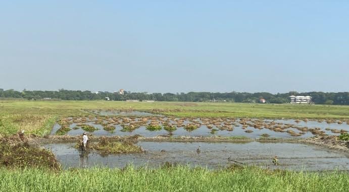 মুন্সীগঞ্জে আলু চাষের জমিতে আবাদের প্রস্তুতি চলছে