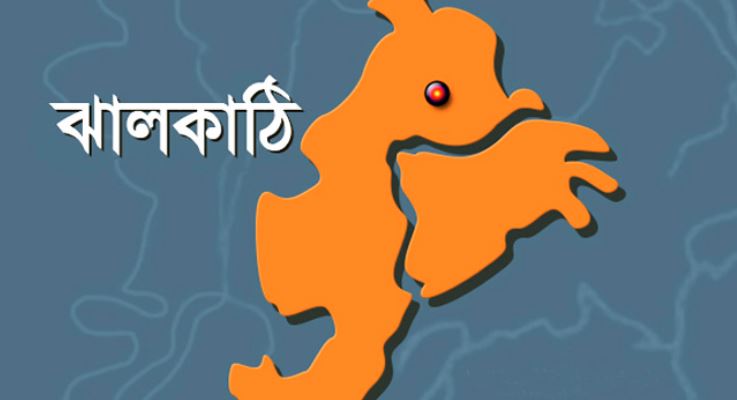 নির্বাচনি তফশিল ঘোষণায় ঝালকাঠিতে উৎসবমুখর পরিবেশ