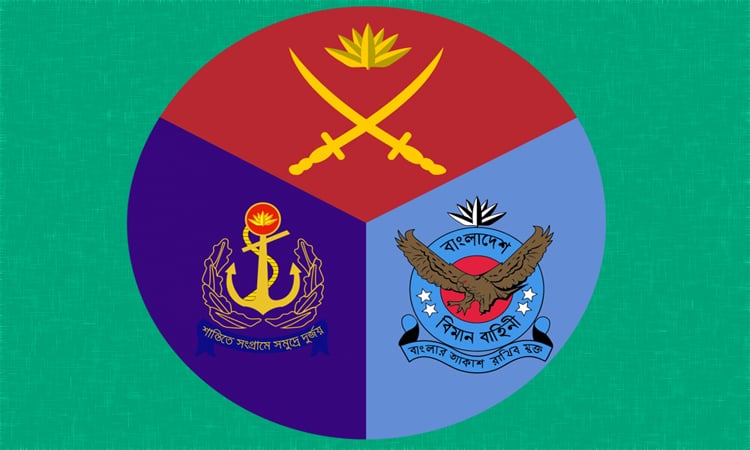 বিজয় দিবসে সেনা, নৌ ও বিমান বাহিনীর সমন্বয়ে ফ্লাইপাস্ট ও প্যারাজাম্প