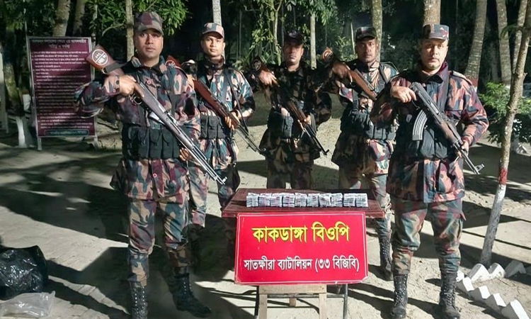 সাতক্ষীরা সীমান্তে ভারতীয় বিভিন্ন মালামাল জব্দ