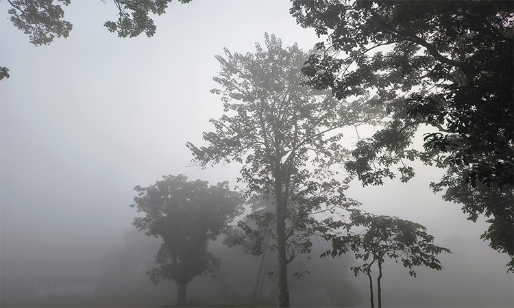 হিমেল বাতাসে কুড়িগ্রামের চরবাসীদের ভোগান্তি