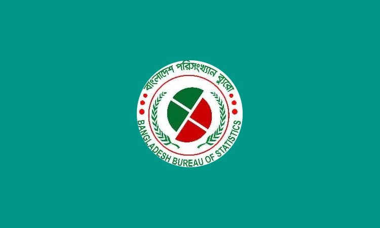 সাম্প্রতিক বছরগুলোতে দেশে ইন্টারনেট ব্যবহারের হার ধারাবাহিকভাবে বেড়েছে : বিবিএস