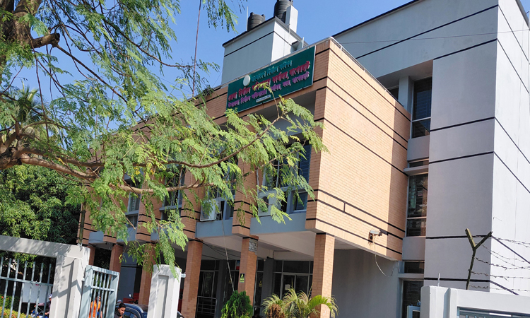 বাগেরহাটে ৬১ হাজার ভোটার বেড়েছে