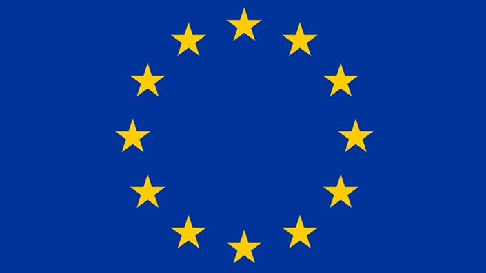 নির্বাচন প্রস্তুতি, প্রশিক্ষণ ও সক্ষমতা উন্নয়নে আনসার-ভিডিপির সঙ্গে বৈঠক ইইউর