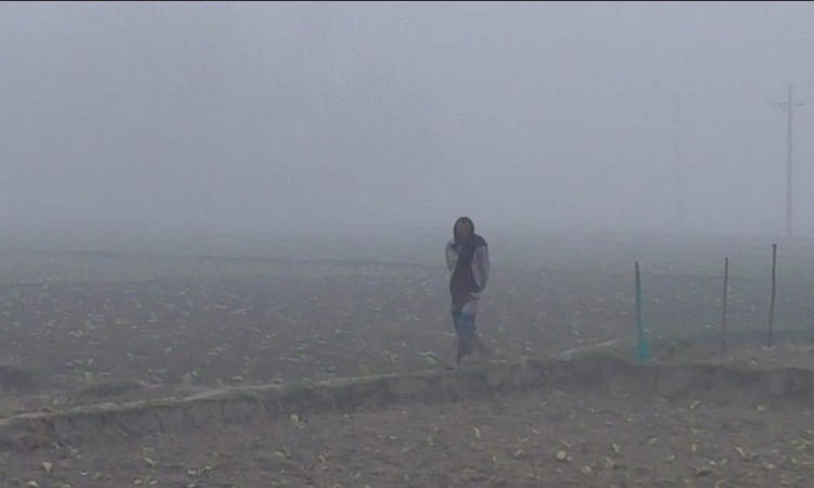 উত্তরের জেলাগুলোতে জেঁকে বসেছে শীত, হাসপাতালে রোগীদের ভিড় 