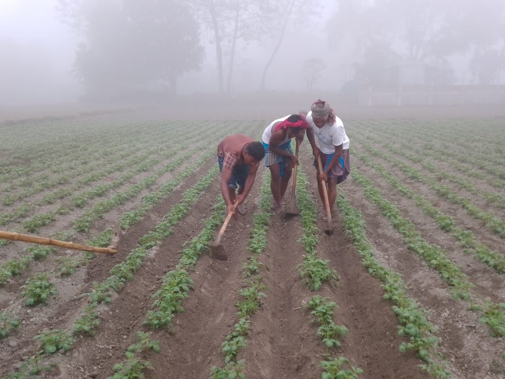 কুড়িগ্রামে তাপমাত্রা ১১.৪ ডিগ্রিতে, খেটে খাওয়া মানুষের দুর্ভোগ