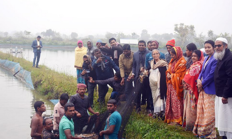 পরিকল্পিত চাষের মাধ্যমে চিংড়ির উৎপাদন বাড়াতে হবে: মৎস্য উপদেষ্টা